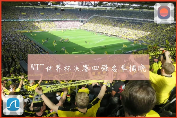 WTT世界杯决赛四强名单揭晓