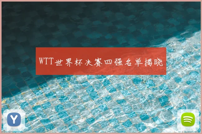 WTT世界杯决赛四强名单揭晓